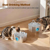 Cat Water Fountain Stainless Steel: Pet Fountains for Cats/Dog Indoor Automatic Waterer Bowls for Drinking Small Animal Water Dispenser Metal Pets Watering Faucet Bottle Auto Kitty Watering Supplies