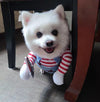Deadly Dog Halloween Costume