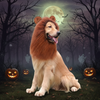 Halloween Lion Mane Costume