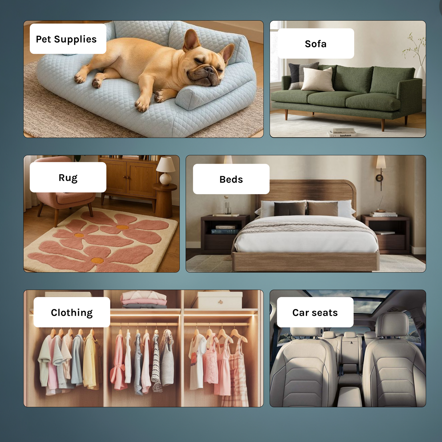 hair removal glove for pets