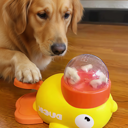 Ducky Puzzle Pet Feeder