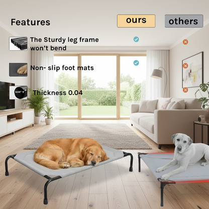 Atlas Elevated Dog Bed