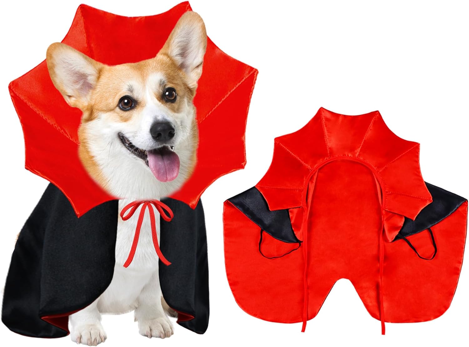 Vampire Halloween Costume