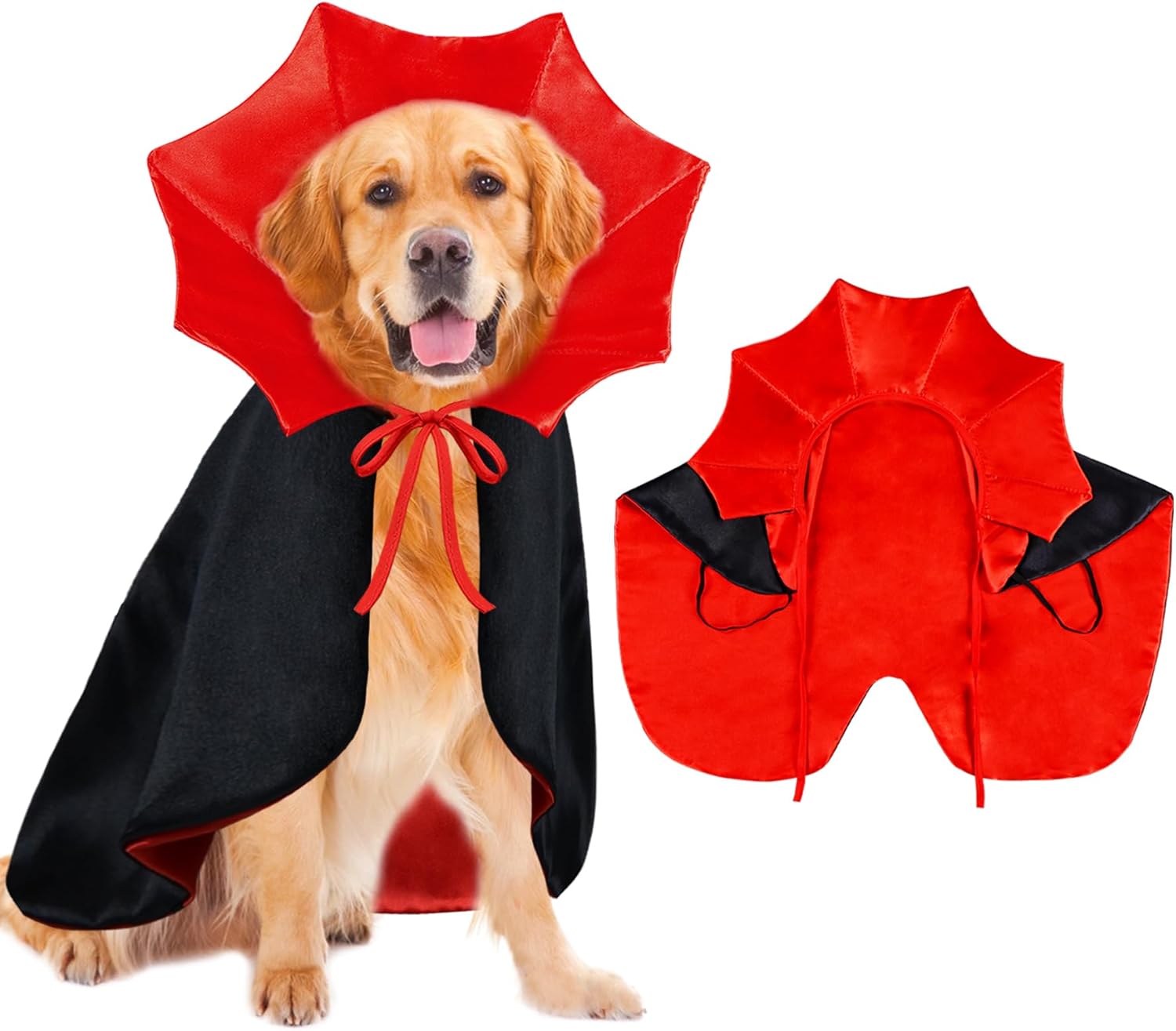 Vampire Halloween Costume