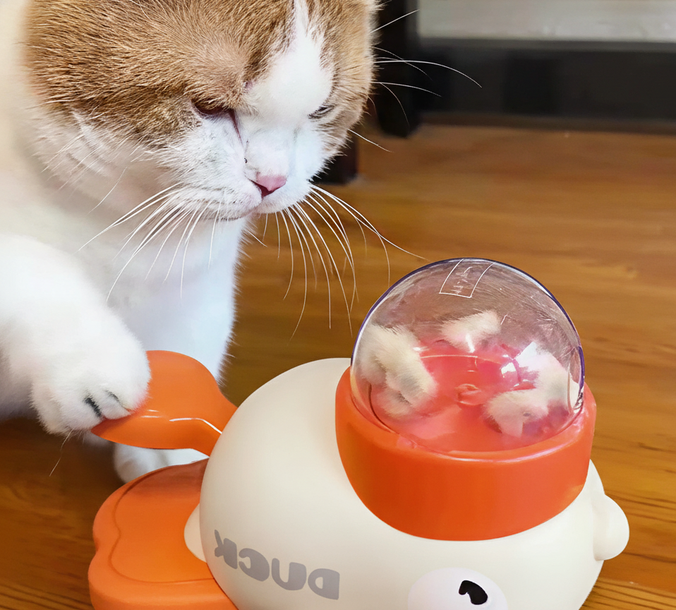 Ducky Puzzle Pet Feeder