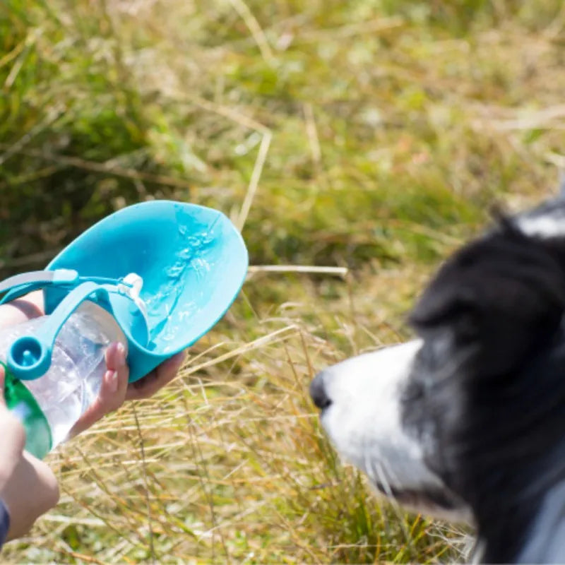 Portable Dog Water Bottle
