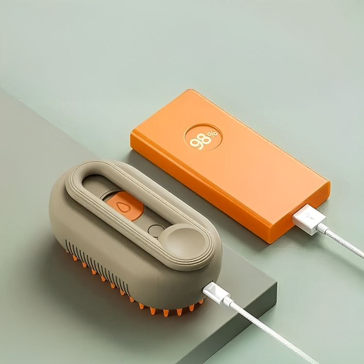 USB rechargeable Steam Pet Brush
