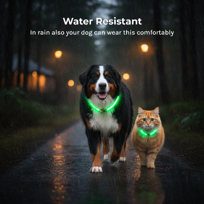 Nite-Guard LED Dog Collar