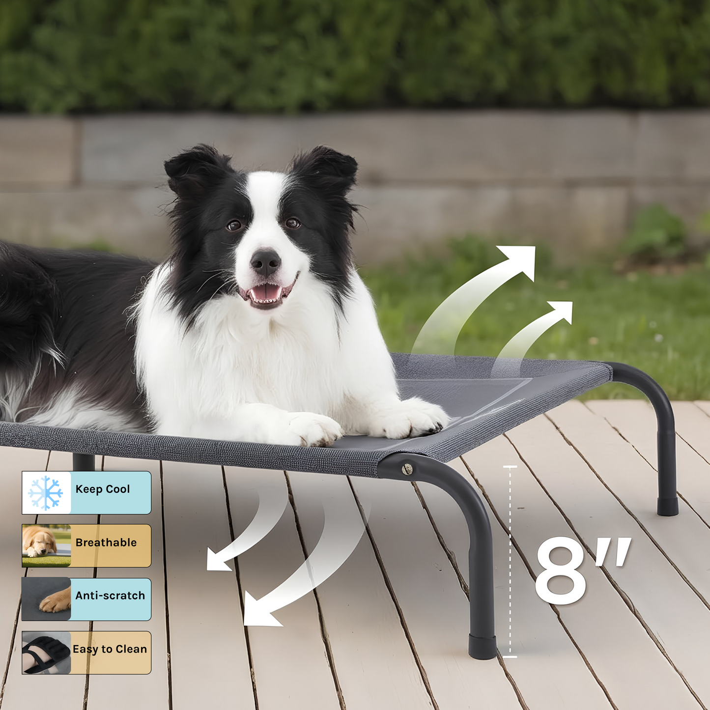 best elevated dog bed