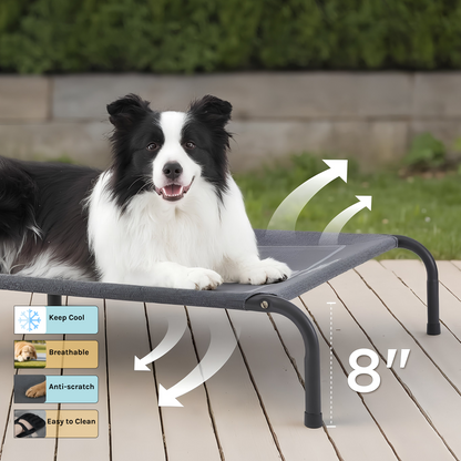 best elevated dog bed