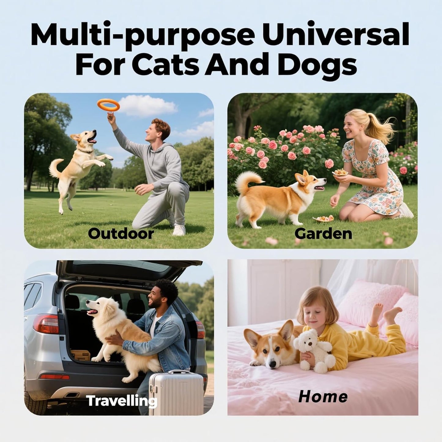 best pet glove wipes