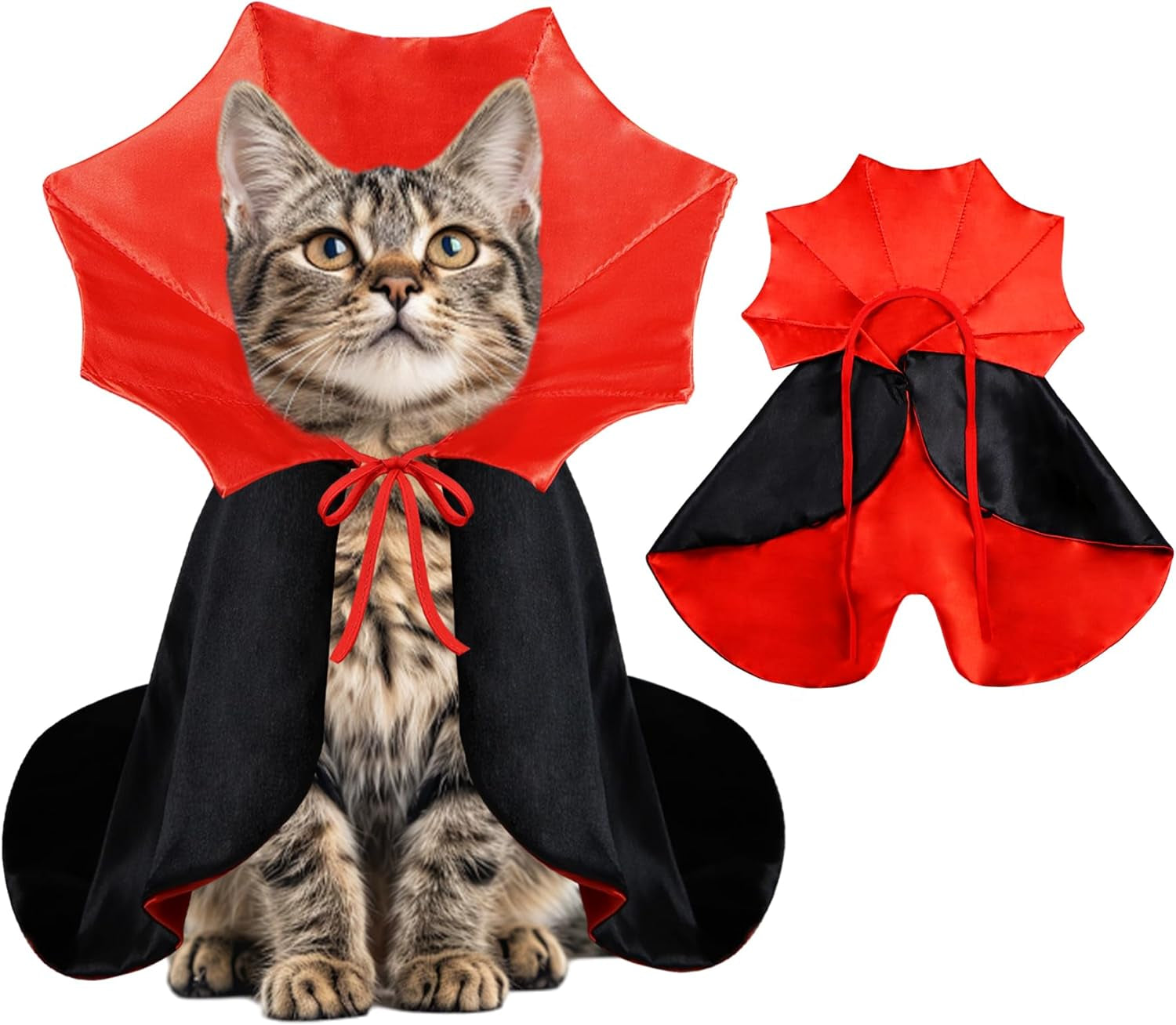 cat halloween costumes vampire
