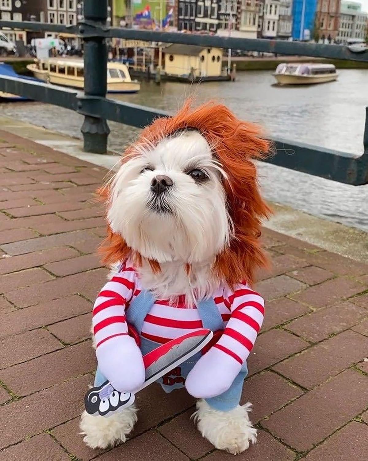 dog deadly doll costume