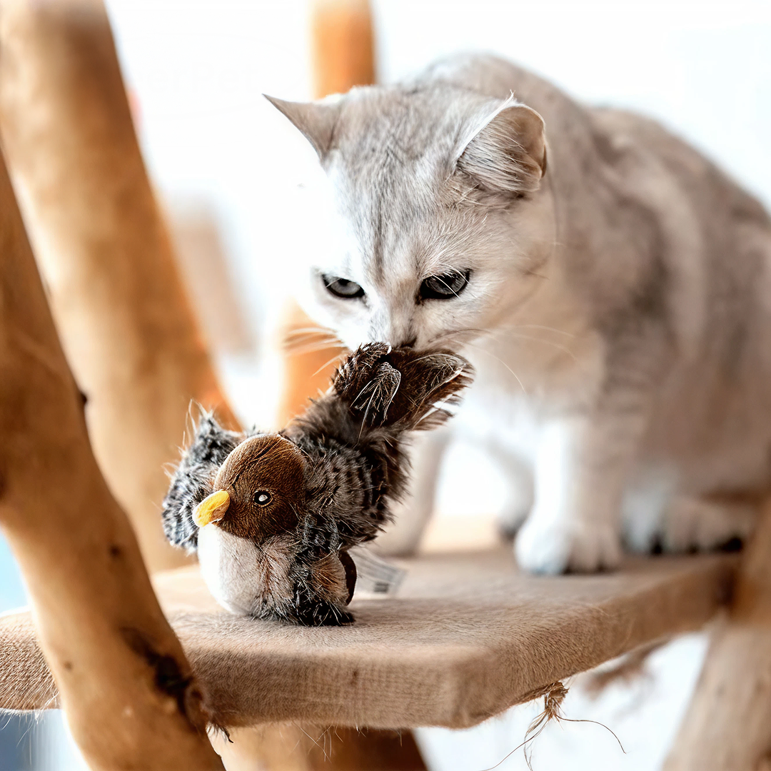 flapping chirping sparrow cat toy