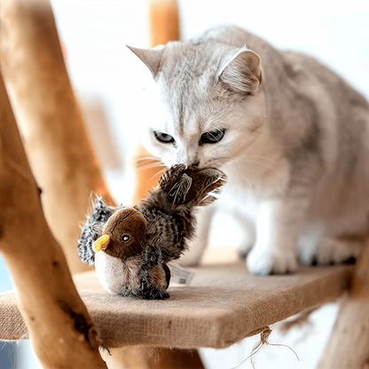 flapping chirping sparrow cat toy