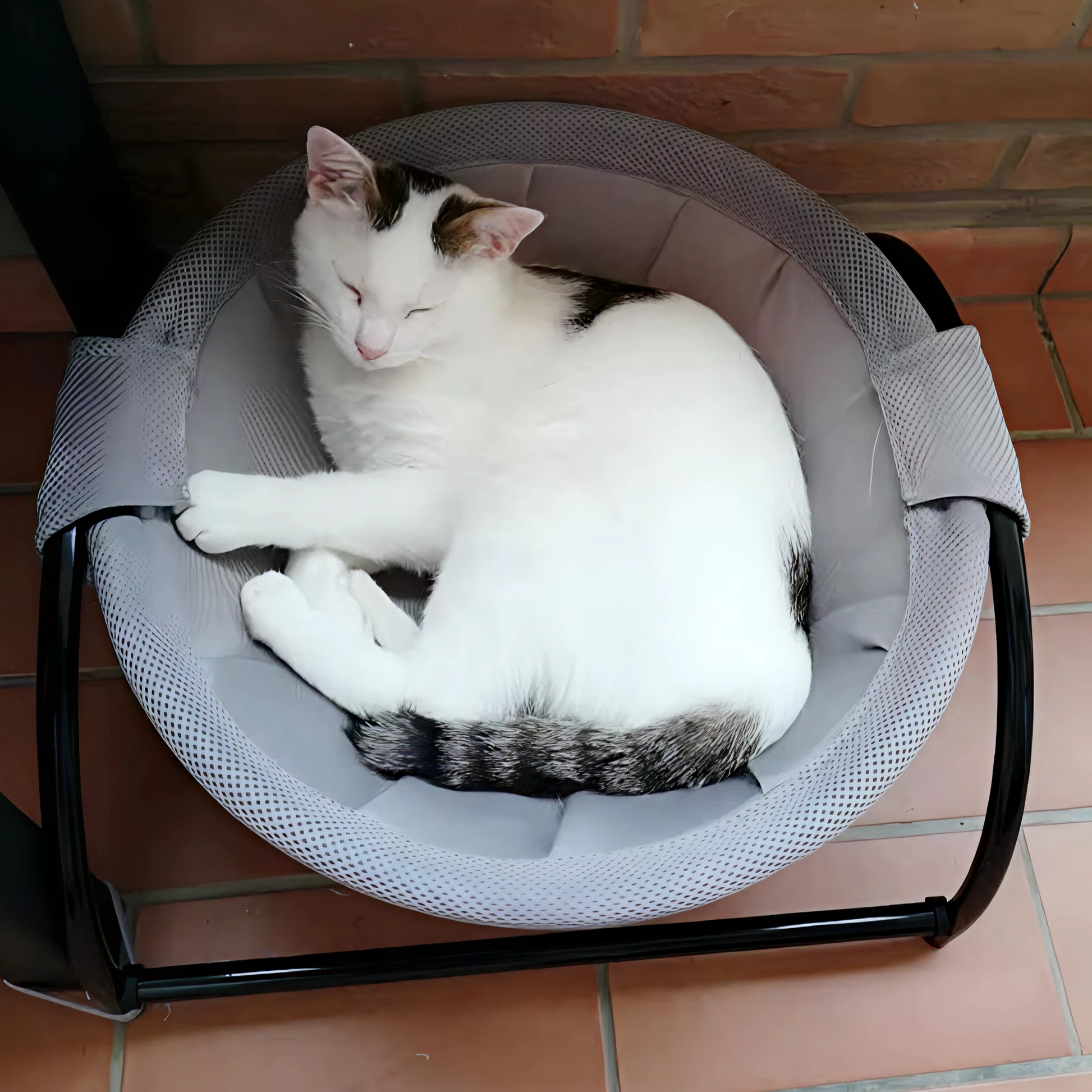 hammock bed for cats