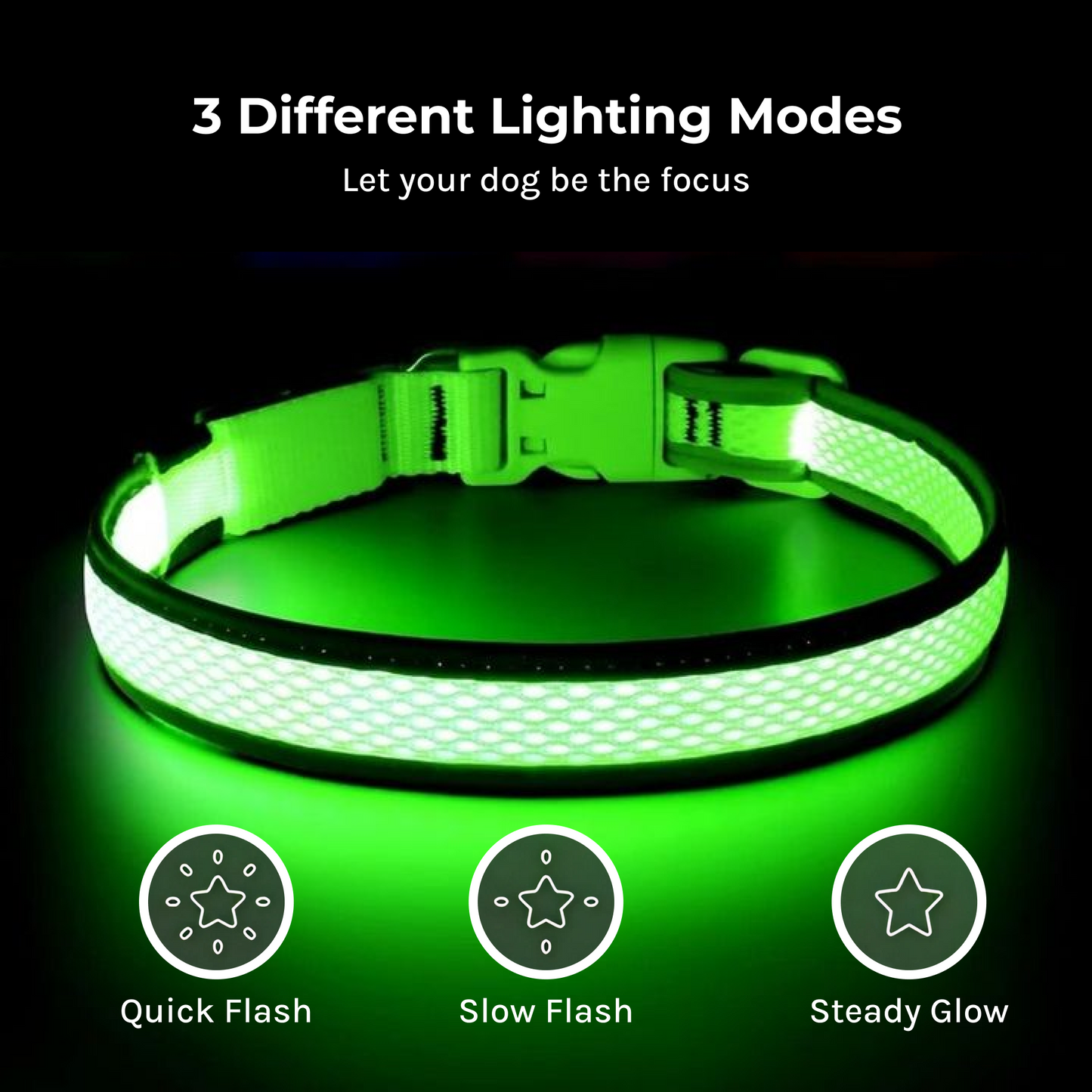 light up dog collar