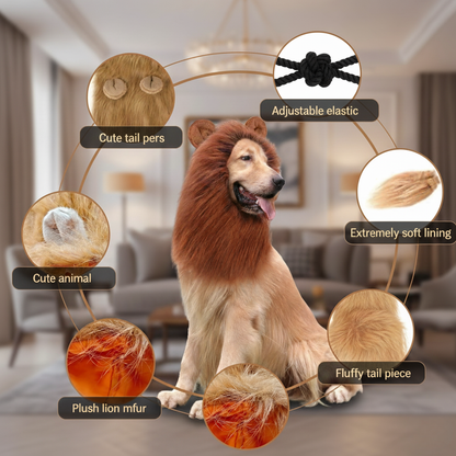 lion dog costume