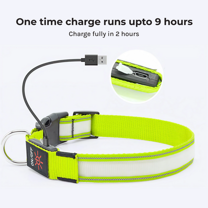 rechargeable led dog collar