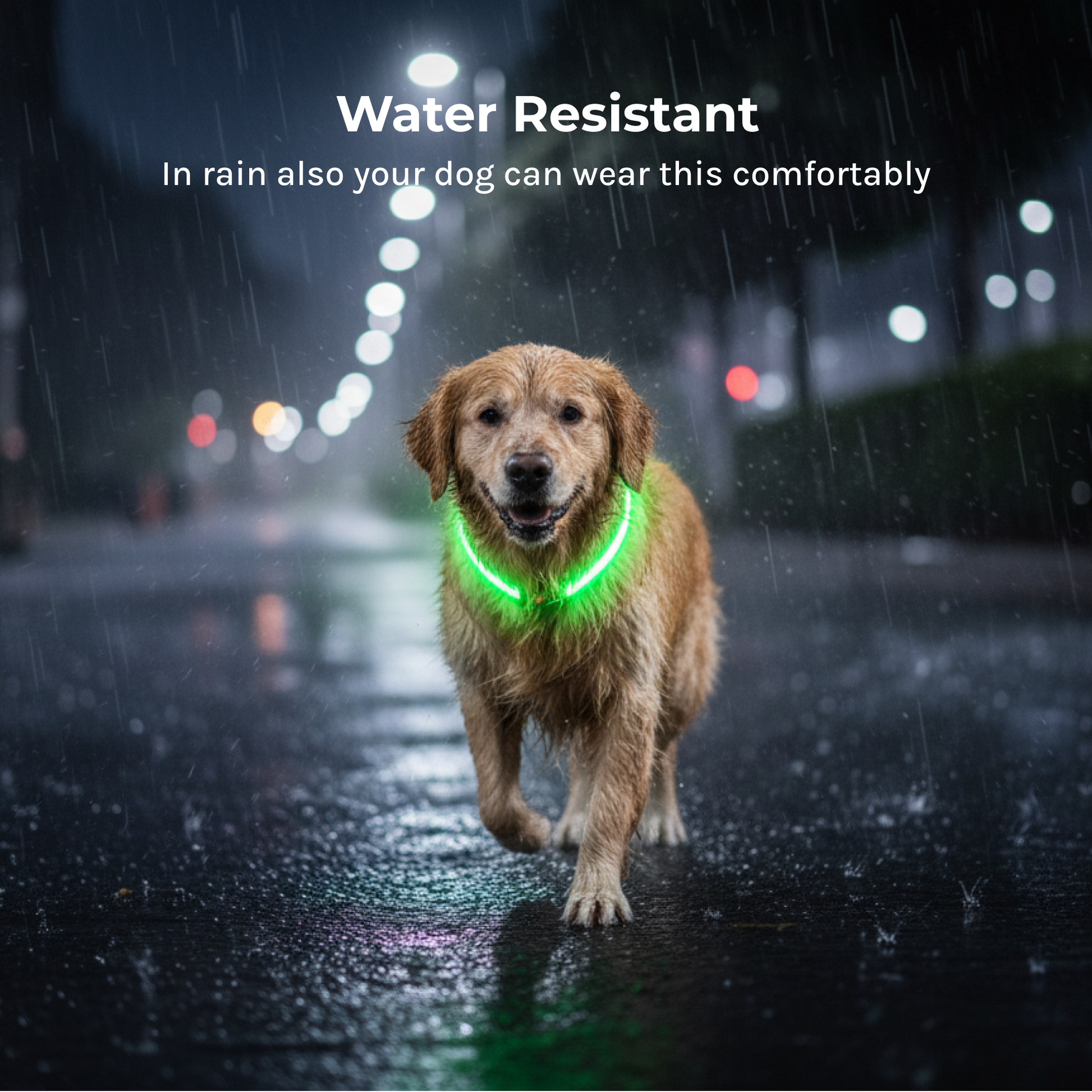 waterproof led dog collar